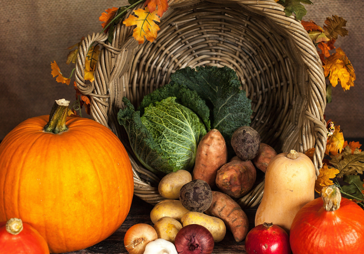 légumes%20hiver%201200x840px