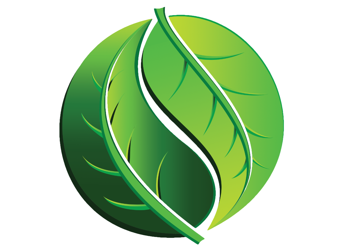 logo%20naturo%20transparent